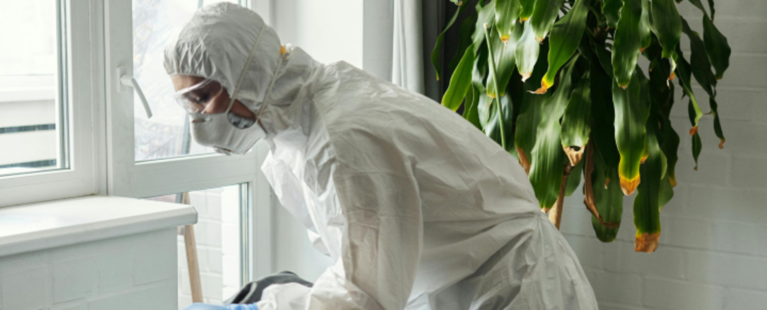 Control de Insectos: Cómo realizamos un tratamiento a medida para ti