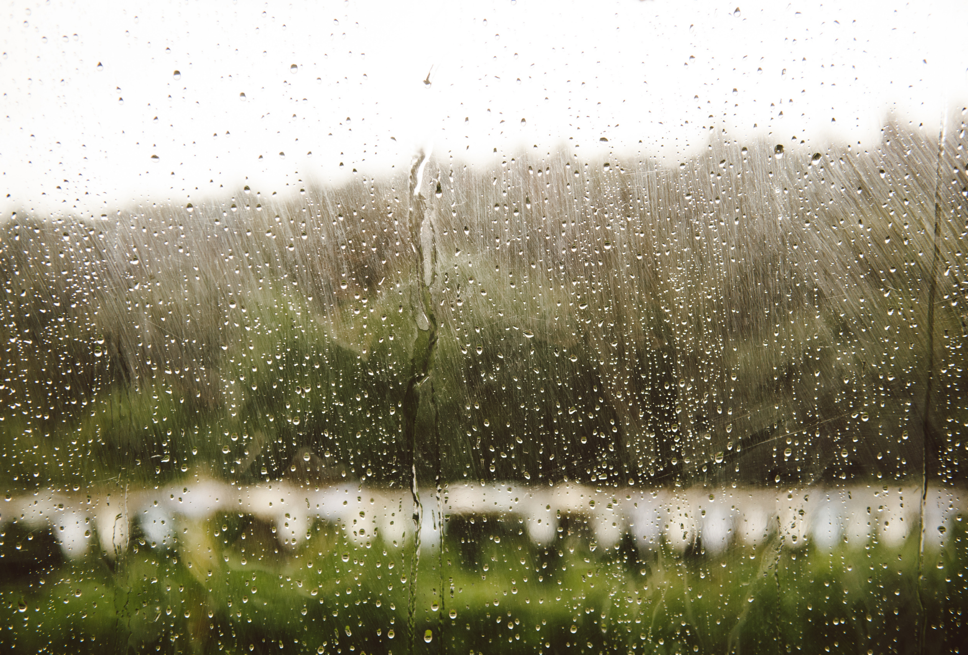 Humedad y plagas en Alcorcón: un problema en pisos y locales